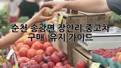 순천 송광면 장안리 중고차 구매 & 유지 가이드